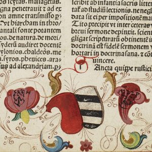 Biblia, cum concordantiis, et terminorum hebraicorum interpretationibus. Biblia, cum concordantiis, et terminorum hebraicorum interpretationibus
